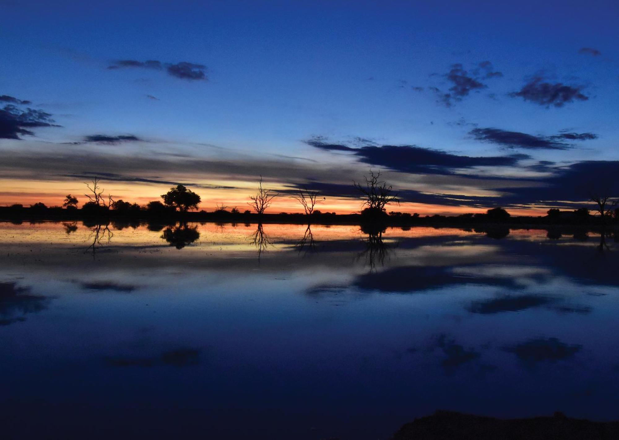 Madikwe River Lodge By Dream Resorts マディクウェ野生保護区 エクステリア 写真