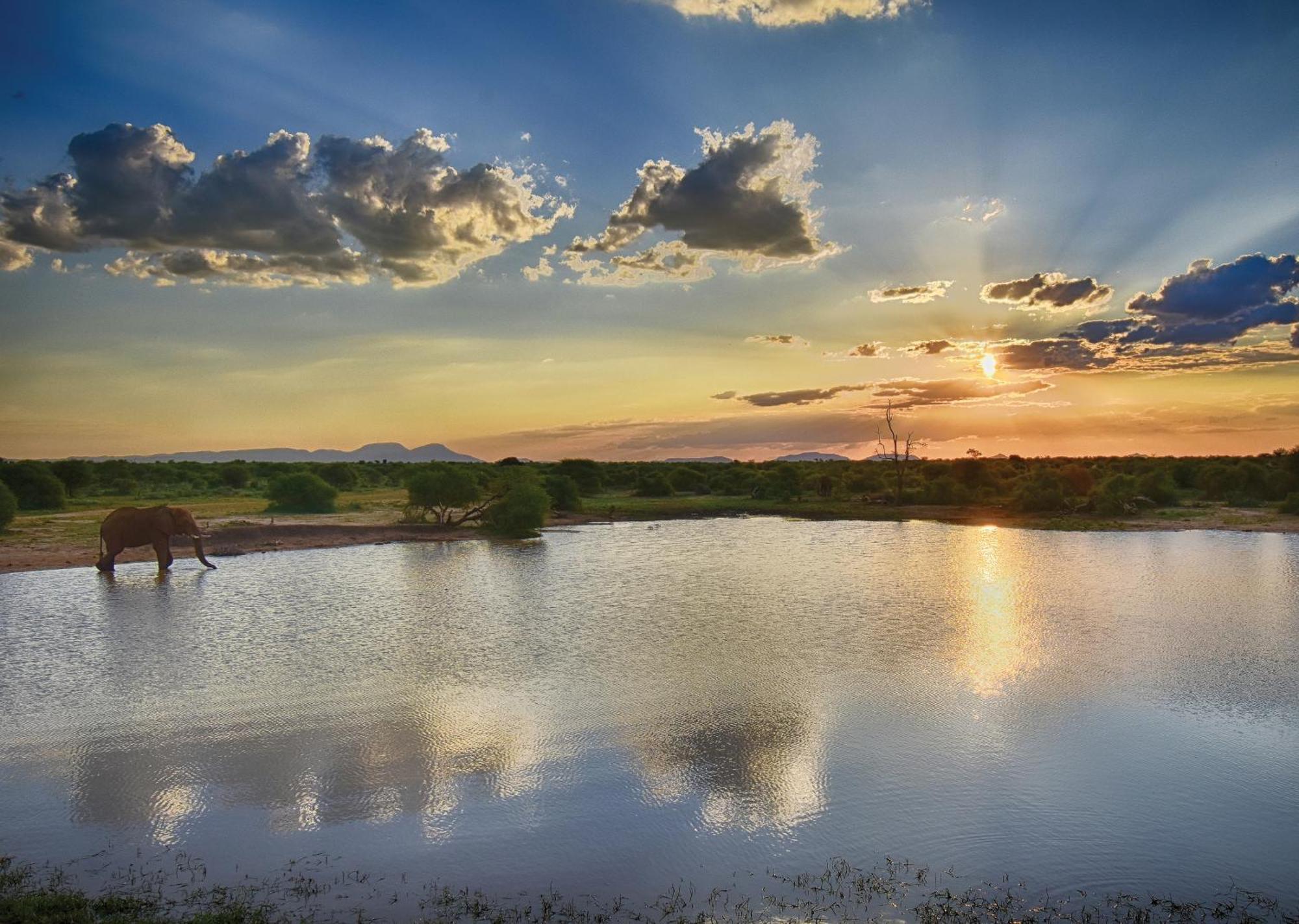 Madikwe River Lodge By Dream Resorts マディクウェ野生保護区 エクステリア 写真