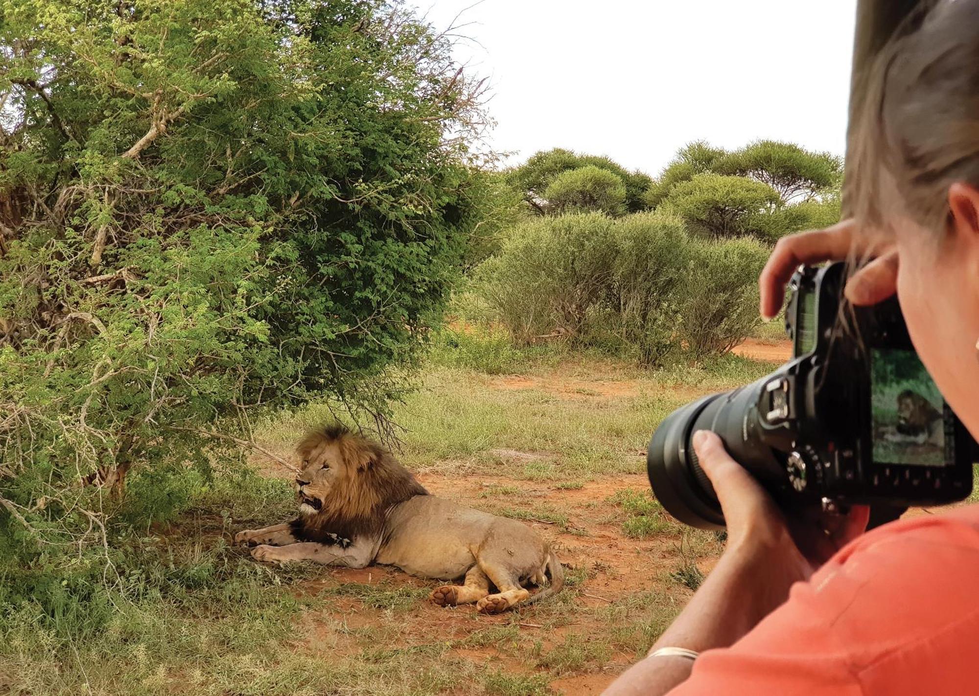 Madikwe River Lodge By Dream Resorts マディクウェ野生保護区 エクステリア 写真