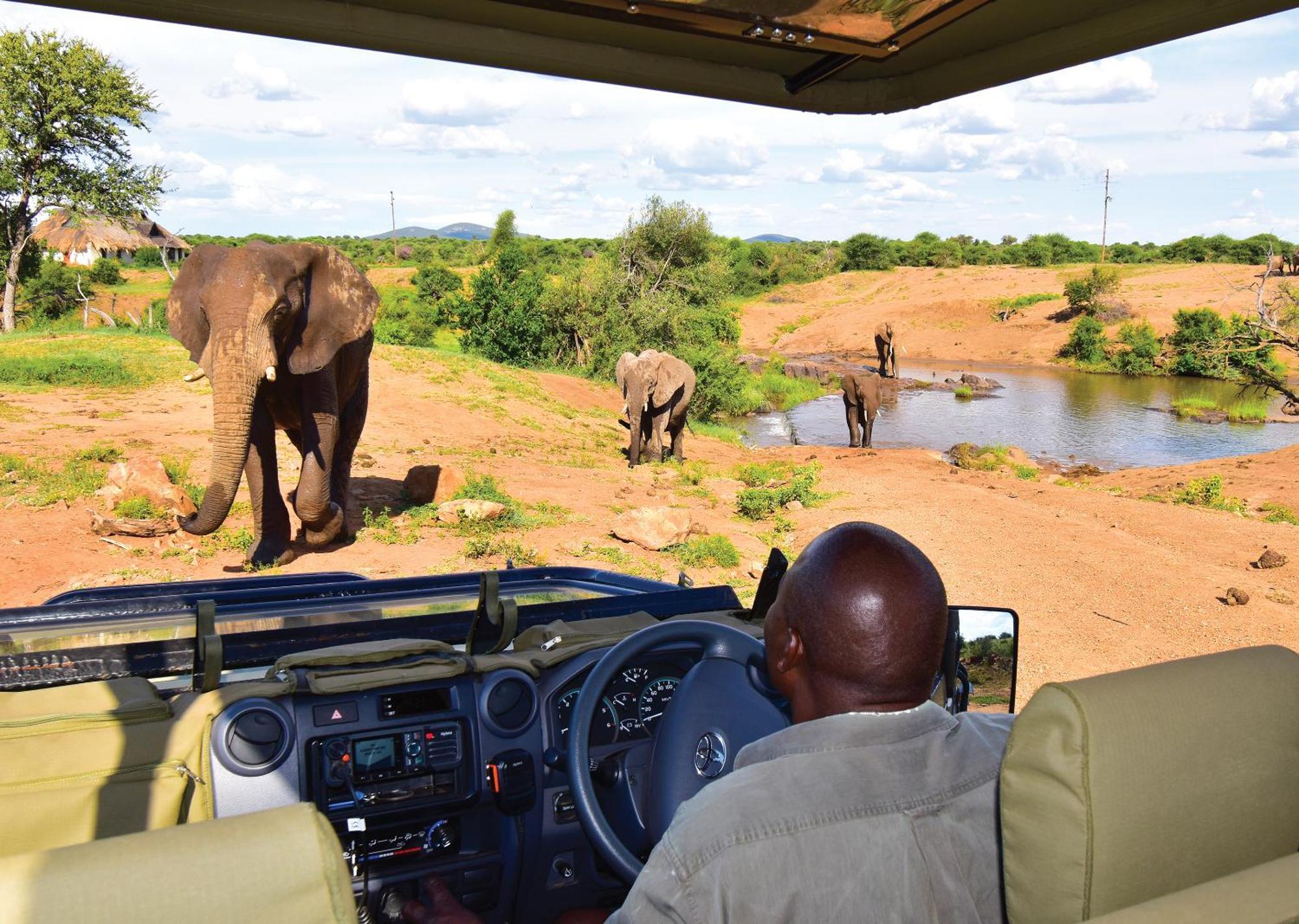 Madikwe River Lodge By Dream Resorts マディクウェ野生保護区 エクステリア 写真