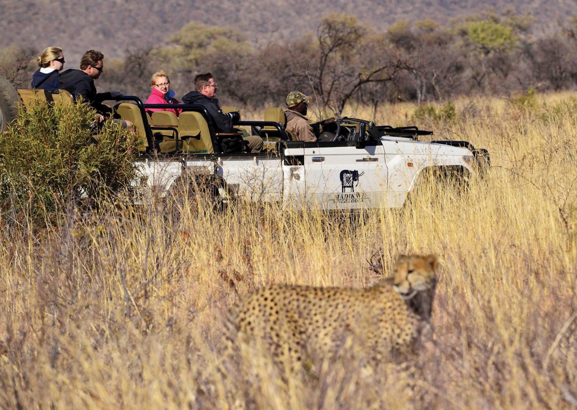 Madikwe River Lodge By Dream Resorts マディクウェ野生保護区 エクステリア 写真