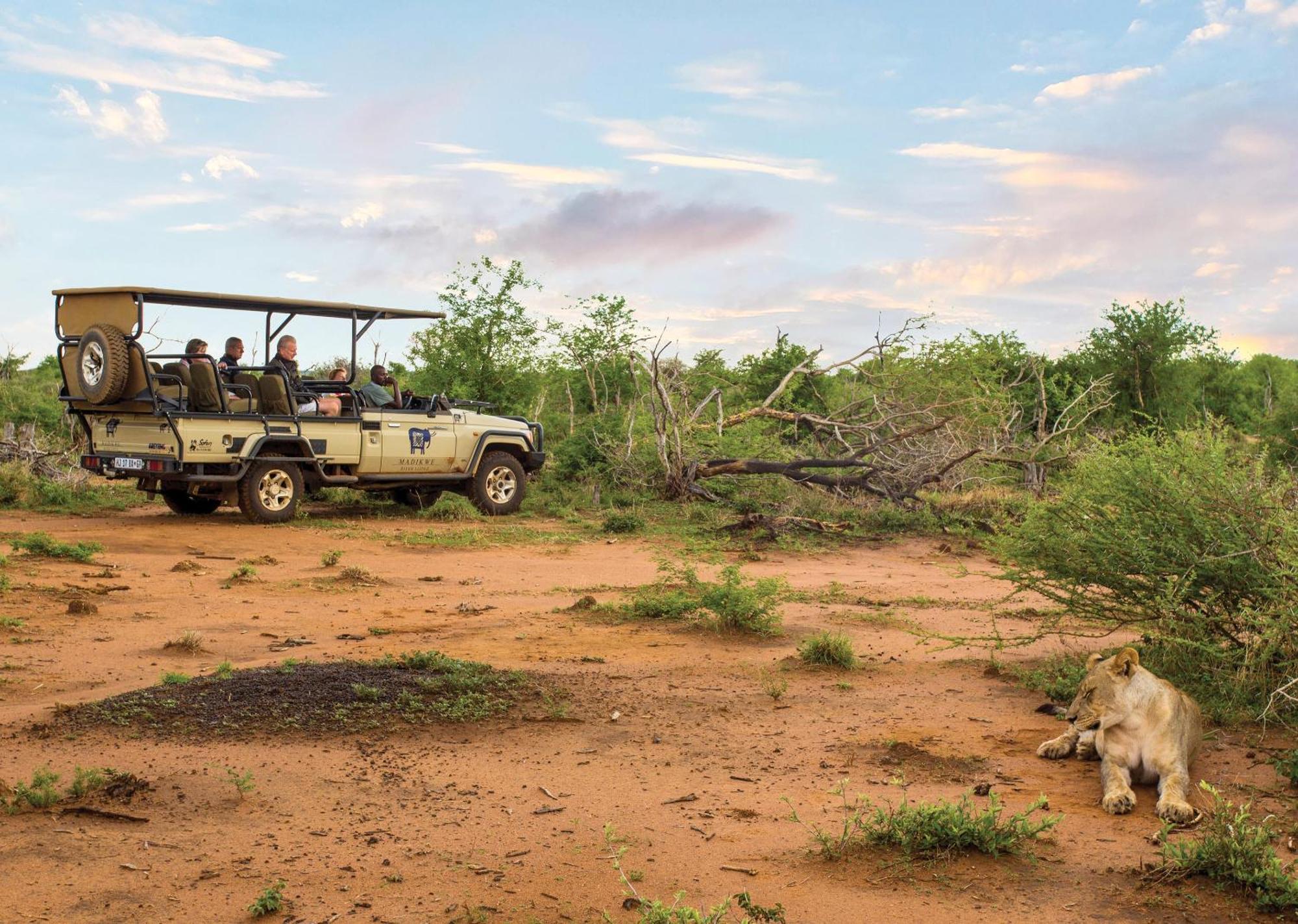 Madikwe River Lodge By Dream Resorts マディクウェ野生保護区 エクステリア 写真
