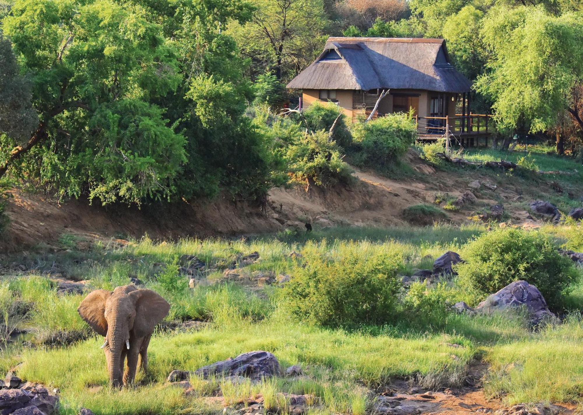 Madikwe River Lodge By Dream Resorts マディクウェ野生保護区 部屋 写真