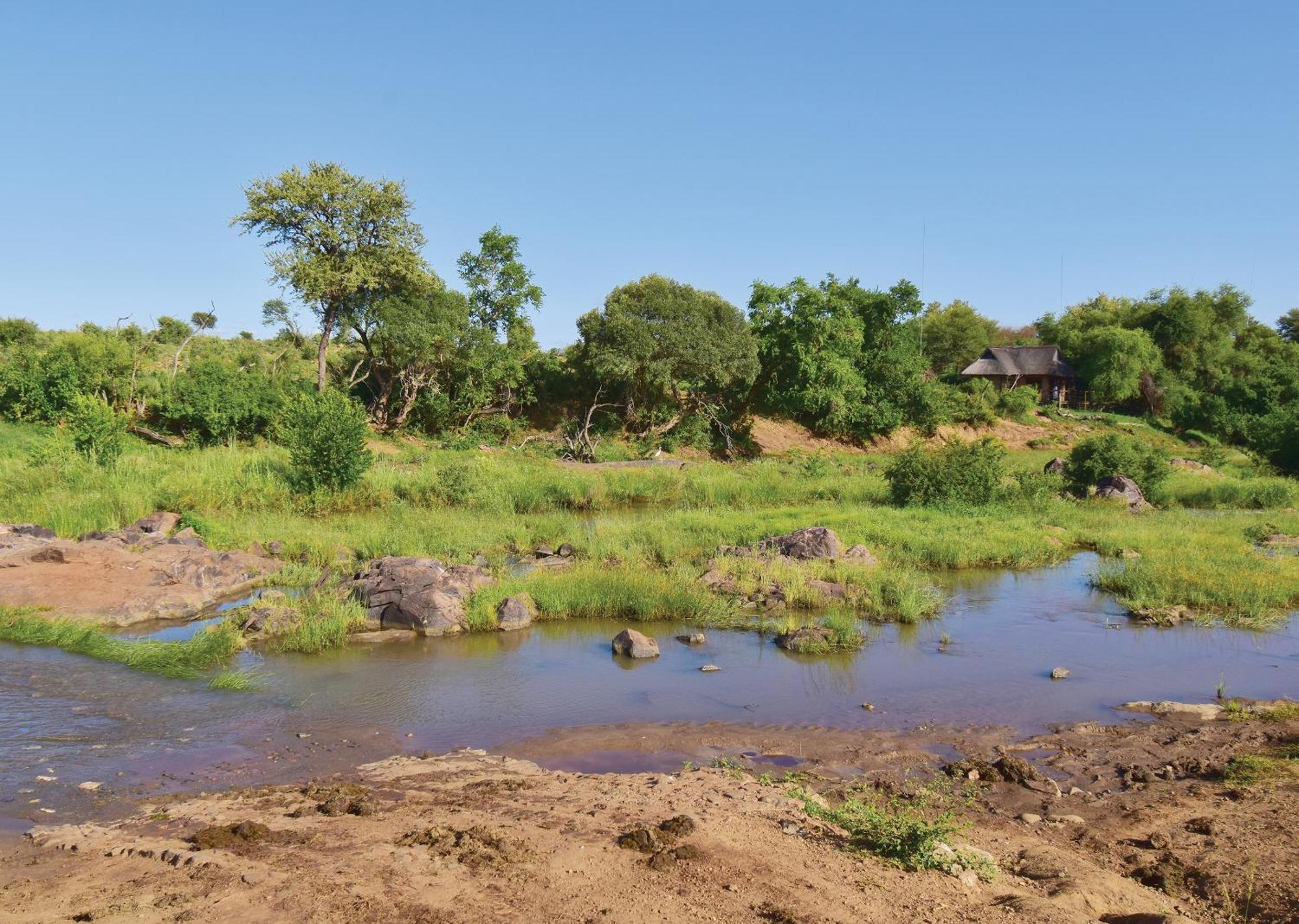 Madikwe River Lodge By Dream Resorts マディクウェ野生保護区 部屋 写真